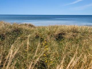 Holiday Home Guthfrith - 100m from the sea by Interhome - 8