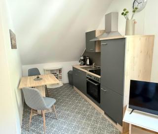 Küstenkännchen - 4