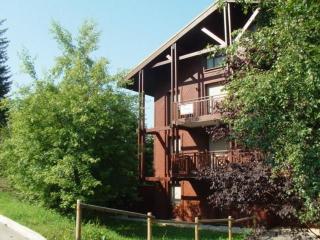 Charmant 2P avec balcon, 5 couchages, pieds des pistes, proche télécabine et centre village - FR-1-572-171 - 2