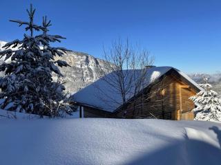 Chalet indépendant 8 pers, déco moderne, proche centre et remontées, terrasse sud-ouest - FR-1-572-32 - 4