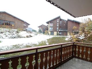 Appartement 3 chambres, 2 sdb, parking, proche pistes, équipements de standing - FR-1-572-46 - 3