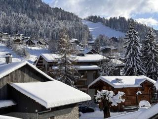 2P tout confort face aux pistes, proche commerces, 6 couchages, balcon S-E, parking, casier à skis - FR-1-572-97 - 2