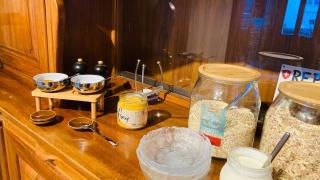 Organic BnB Froschkoenig Rigi Burggeist - 2