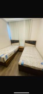 zed west Sheikh Zayed - 4