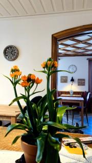 Organic BnB Froschkoenig Vierwaldstttersee - Gersau - 7