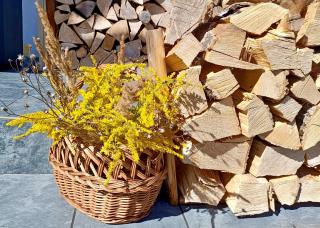 Siedlisko Czarny Kot - 2