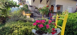 Apartmani Mali Raj Rudnik - Rudnik - 2