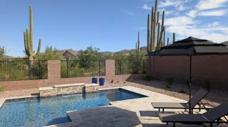 Blue Agave Dreams - 0