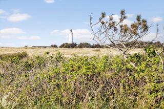 LN1953 Hirtshals - Klinken 26 - 8