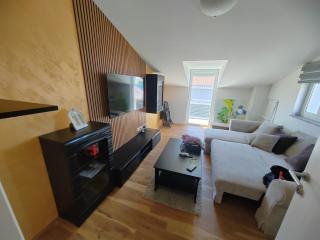 Grey Gold apartment 80m from the beach - 6