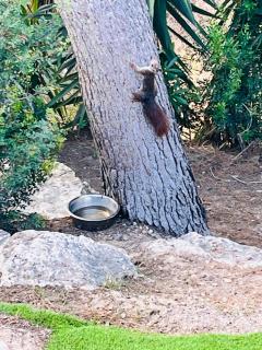 CHALET MÁGICO en Orihuela Costa - 7