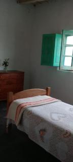 Finca La Nelly, Casa de campo 7 hectáreas de viñedo, vista a las montañas a metros del Rio Atuel - 6