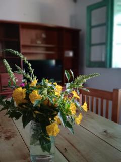 Finca La Nelly, Casa de campo 7 hectáreas de viñedo, vista a las montañas a metros del Rio Atuel - 5