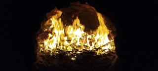 Finca La Nelly, Casa de campo 7 hectáreas de viñedo, vista a las montañas a metros del Rio Atuel - 3