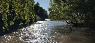 Finca La Nelly, Casa de campo 7 hectáreas de viñedo, vista a las montañas a metros del Rio Atuel - 2