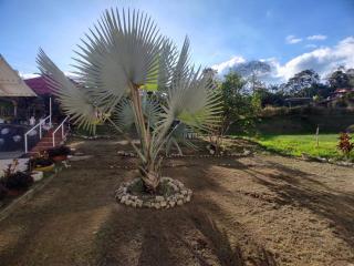 Vivienda Turistica Rancho Texas 3 - 6