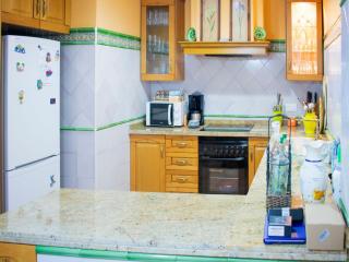 Seville Escape with Terrace - 4