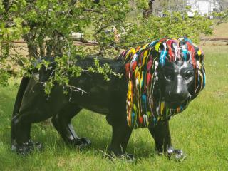Coeur de bull' - 0