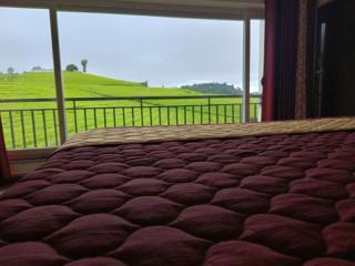 Tea Garden stays - 2