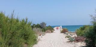 Budget 2BR Apartment near Beach - 5