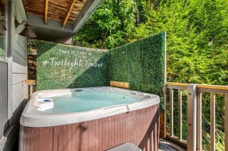 Twilight Timber Cabin with Hot Tub Game Room Sleeps 10 - 0