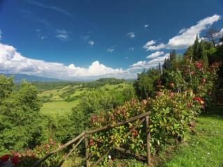 Holiday Home in Tuscany with Pool & BBQ - 5