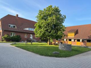 Pferdehof Ruhnau - 2