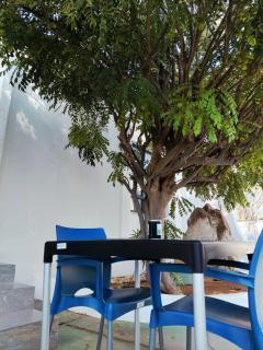 Blue Olive B&B - 8