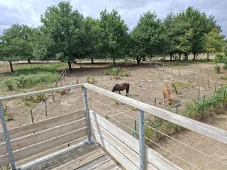 Cottage Rembrandt - 6