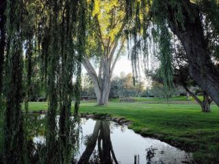 Family Friendly Sedona Townhome in Golf Community - 4