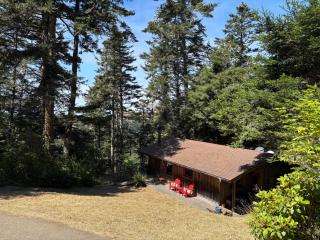 Redwoods Oceanview Retreat - 4