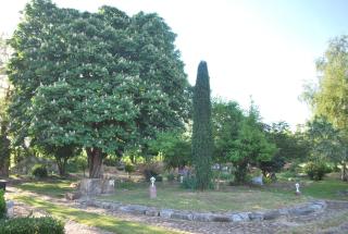 Le souffle des Acacias - 4