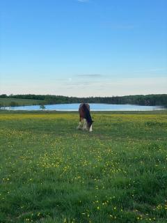 The Clydesdale Cottage at Lindsay Lake Farms - - 4