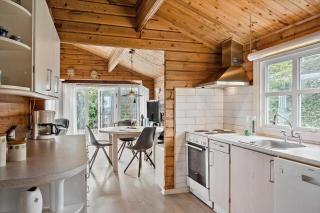 SJ202 Børkop - Svinget 4 - 7