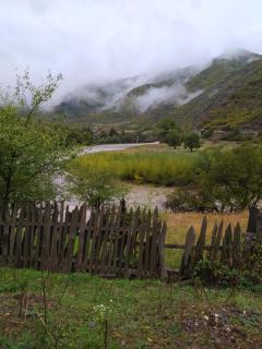 Forest Home near Borjomi - 1