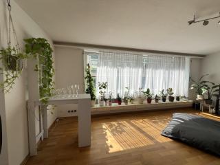 4Room Modern Apartment Next to Park Hyatt Zürich - 9