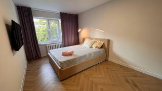 Botanica aeroport - 3