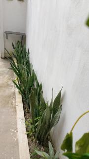 Casa Mar - 3