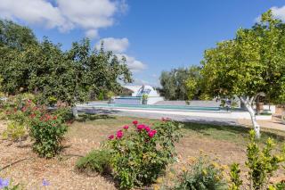 Casa los Laureles - 9