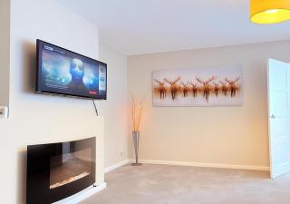 Spacious 3-Bed Contractor-Friendly Home - 7