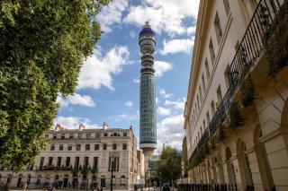 Central Cove - Fitzrovia - By Frankie Says - 3