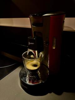 Appartement Thonon-les-Bains Cinéma privé & Écran géant proche Lac Léman - 1