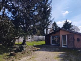 House on the edge of the forest - 2