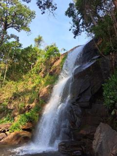 Canto do Sagui - 3