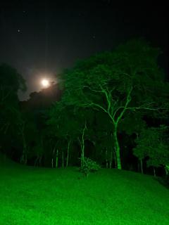 Canto do Sagui - 1