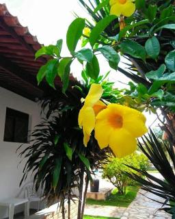 Pousada Caribe Sul - 3