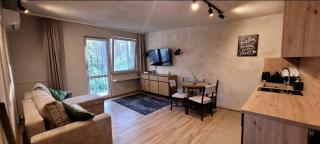 Leśne Apartmani Biała - 8