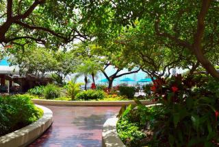 1224- Ilikai Collection 3- Luxury Condo and Beach Views - 4