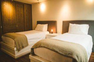 Polanco Beautiful One-floor House With Garden - 2