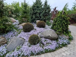 Enchanting Cottage in Oksbol Oasis-By Traum - Nordborg - 4